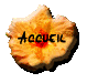 accueil